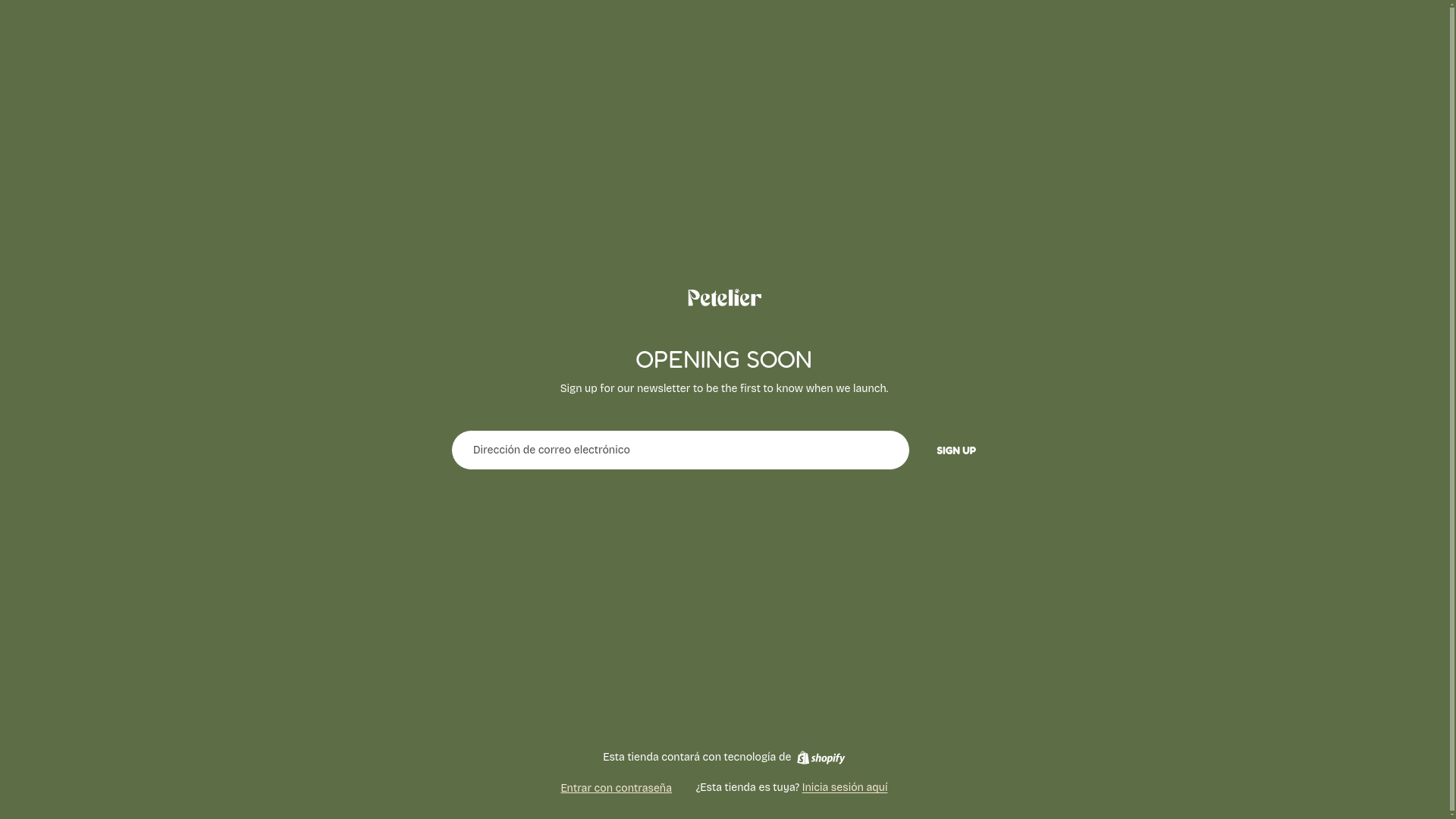 website screenshot of https://petelier.cl/