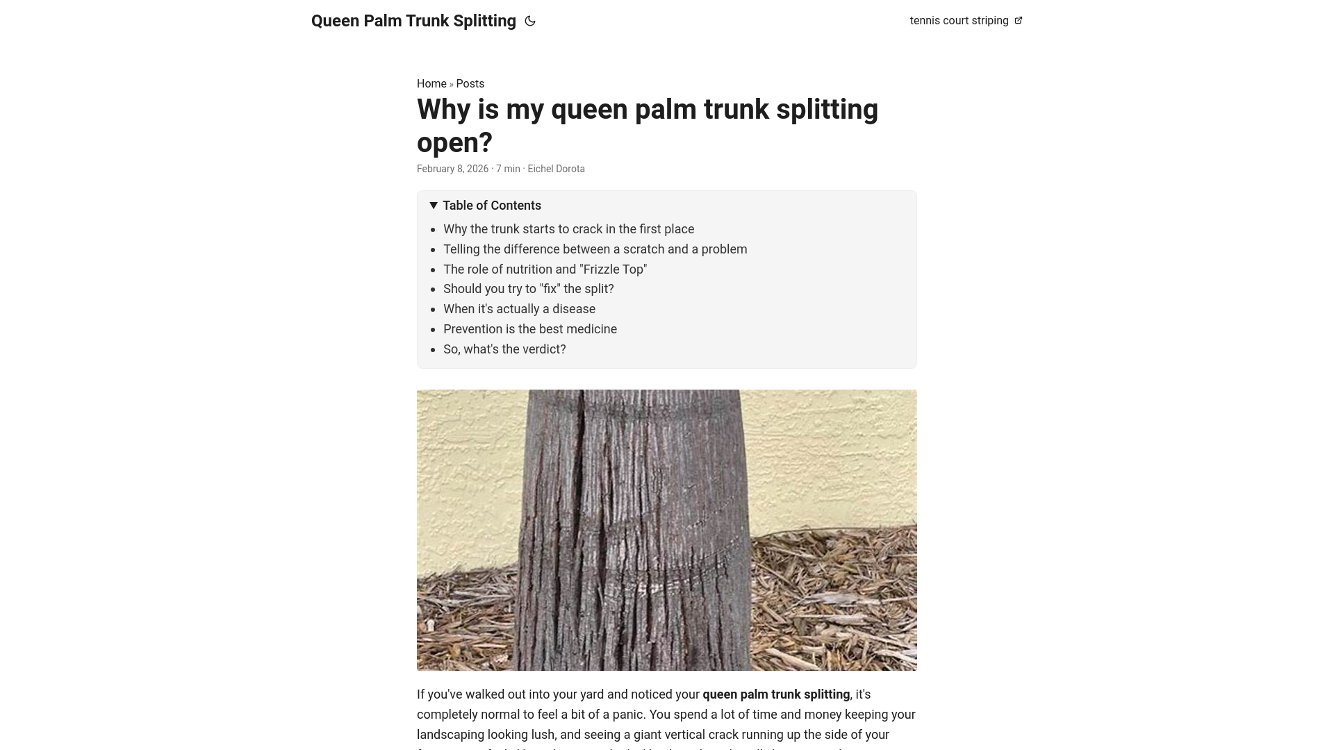 website screenshot of https://queen-palm-trunk-splitting.pages.dev/
