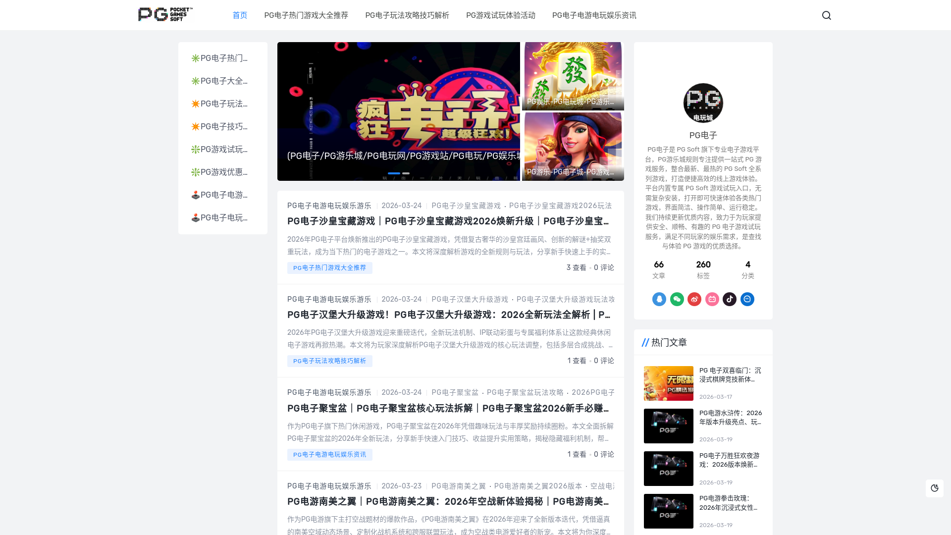 website screenshot of https://pgdzsoft.com/