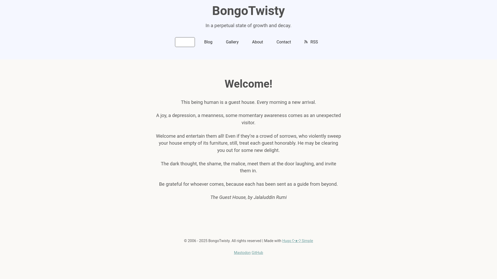 website screenshot of https://www.bongotwisty.blog/