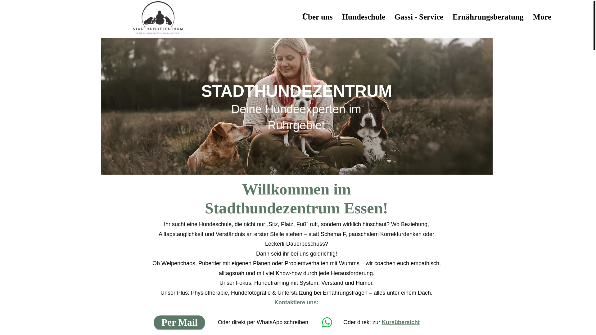 website screenshot of https://denise-hundetraining.de/