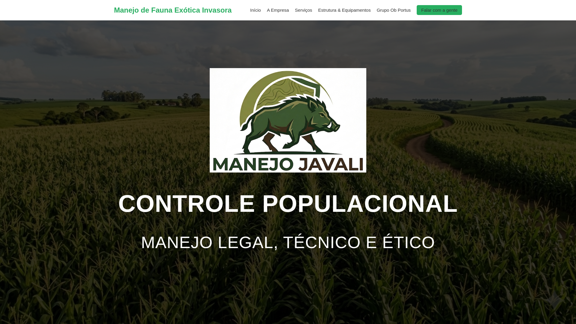 website screenshot of https://manejojavali.com/