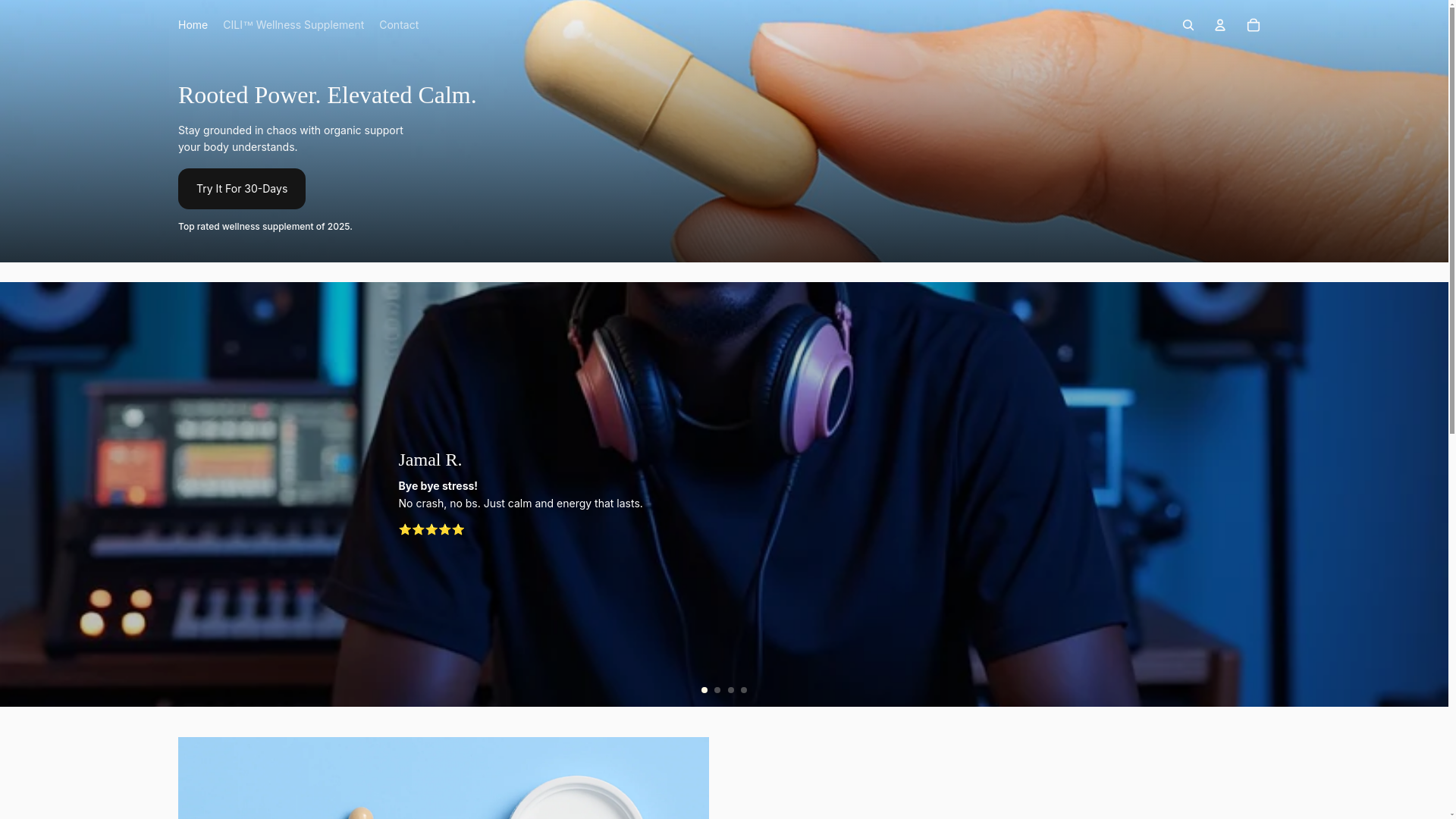 website screenshot of https://trydreem.com/