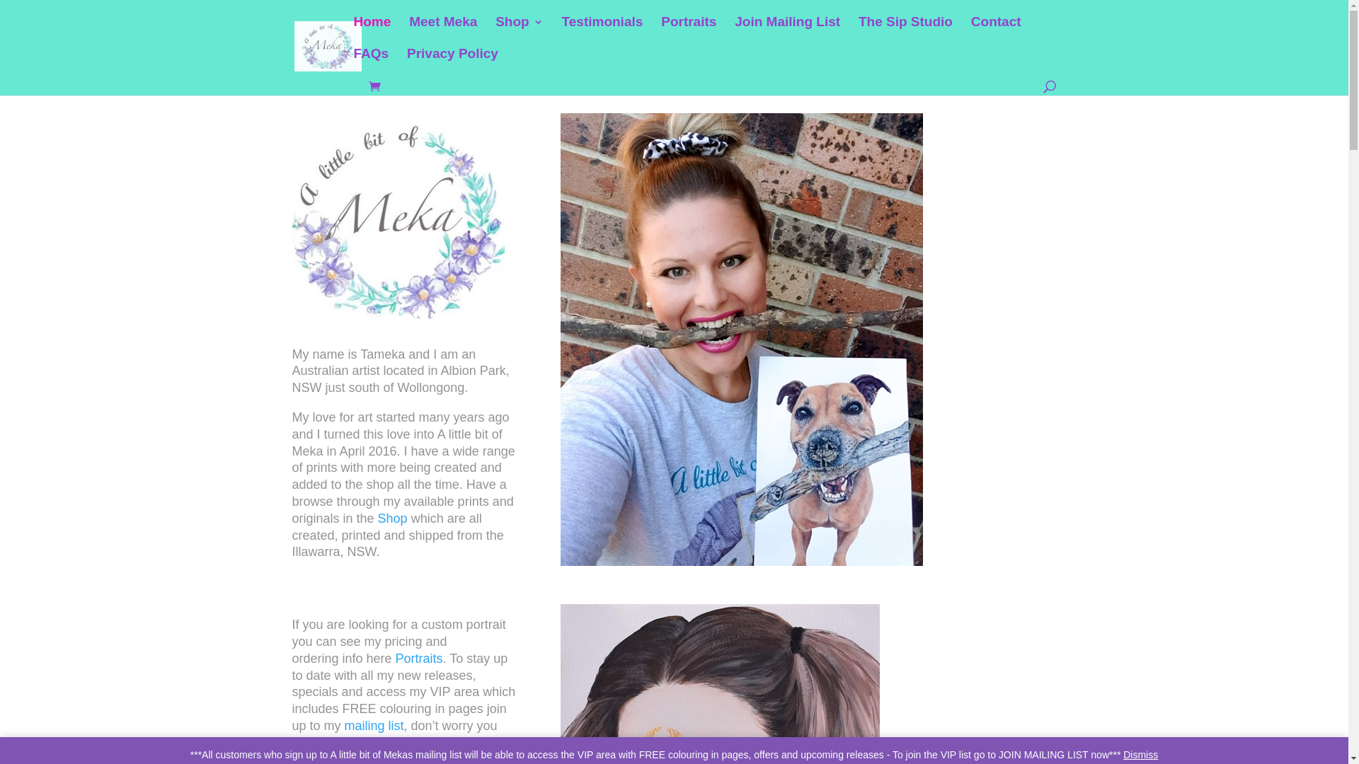 website screenshot of https://alittlebitofmeka.online/