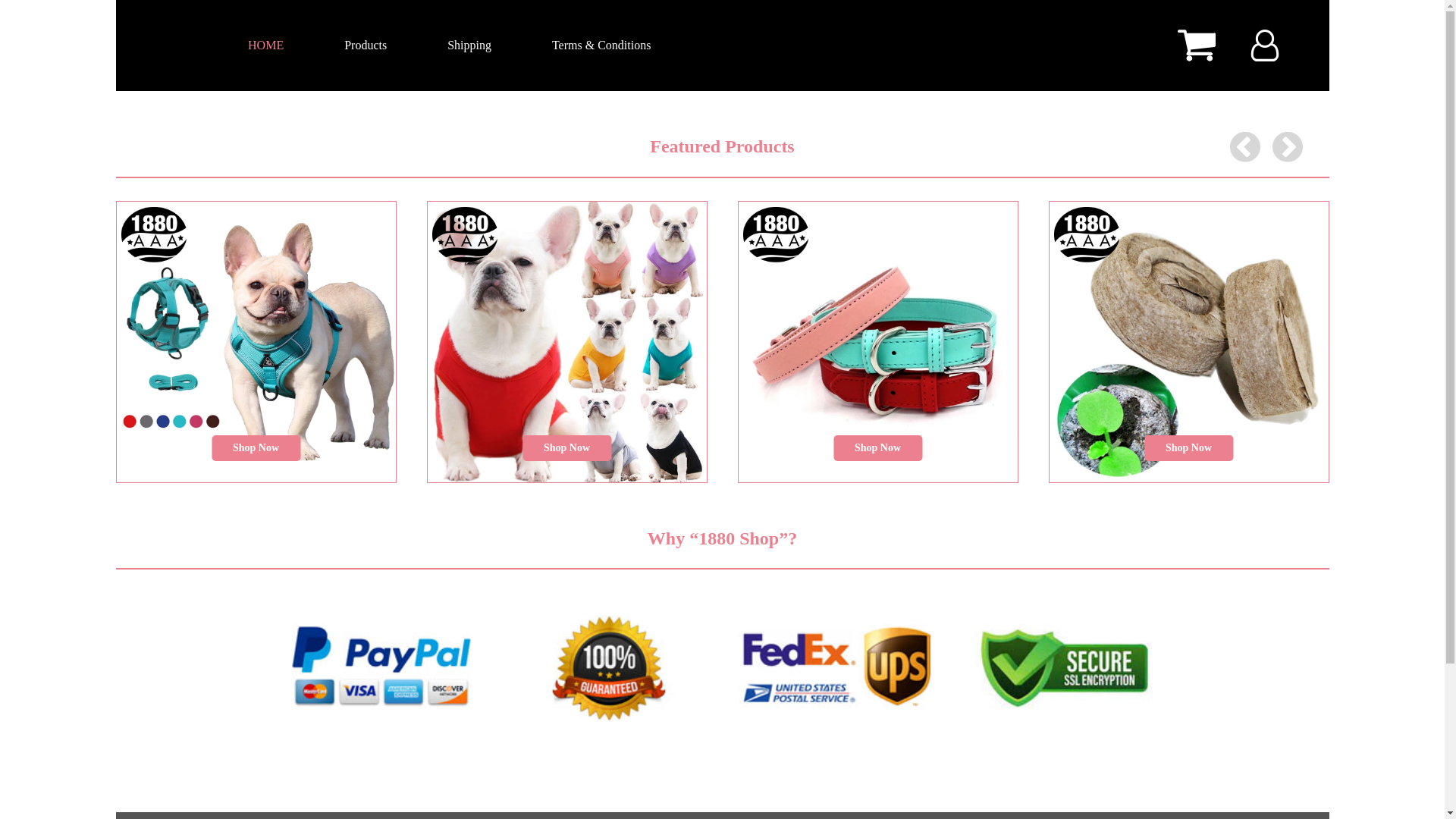 website screenshot of https://1880-product.xyz/