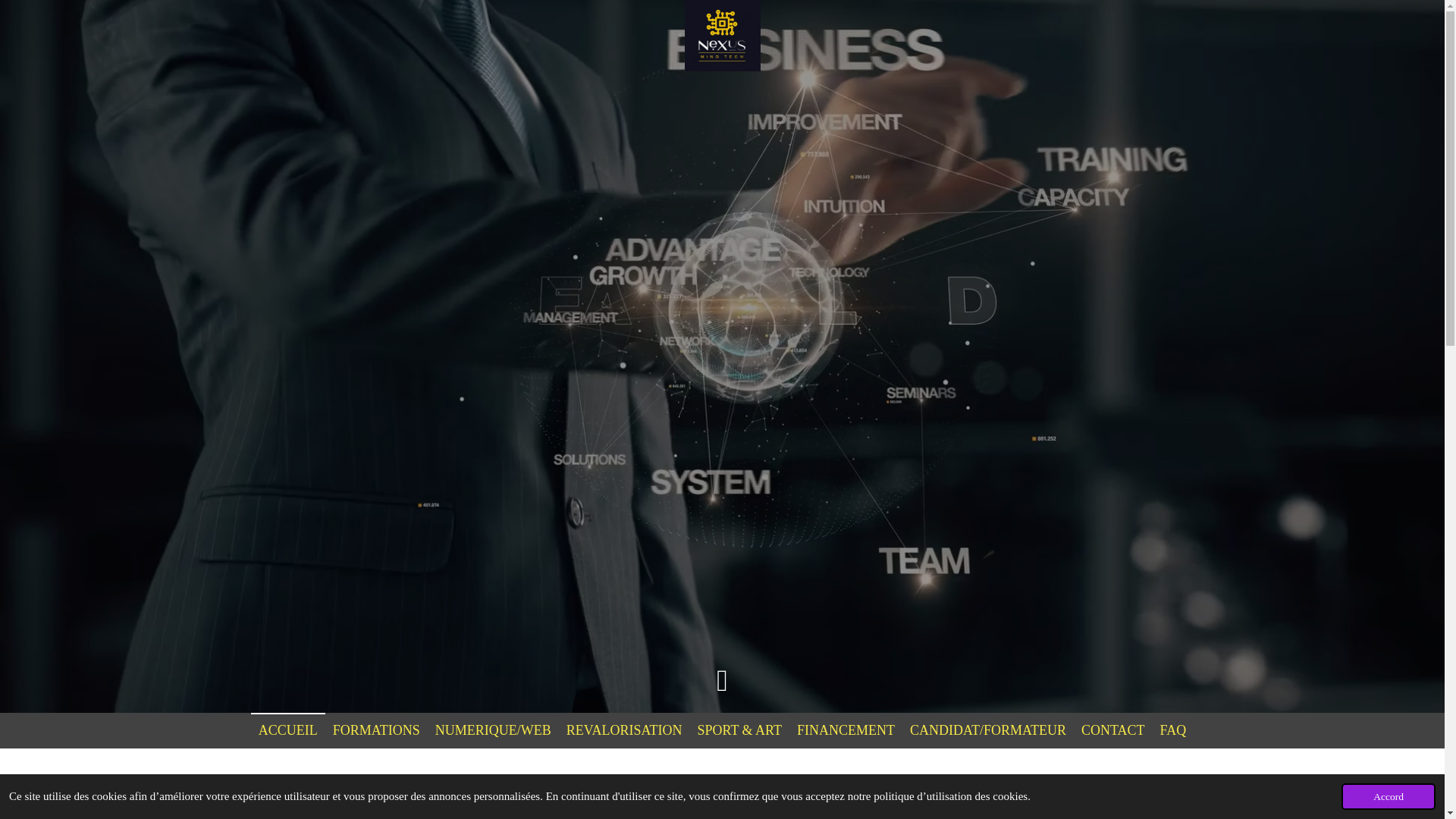 website screenshot of https://eveilprofessionnel.com/