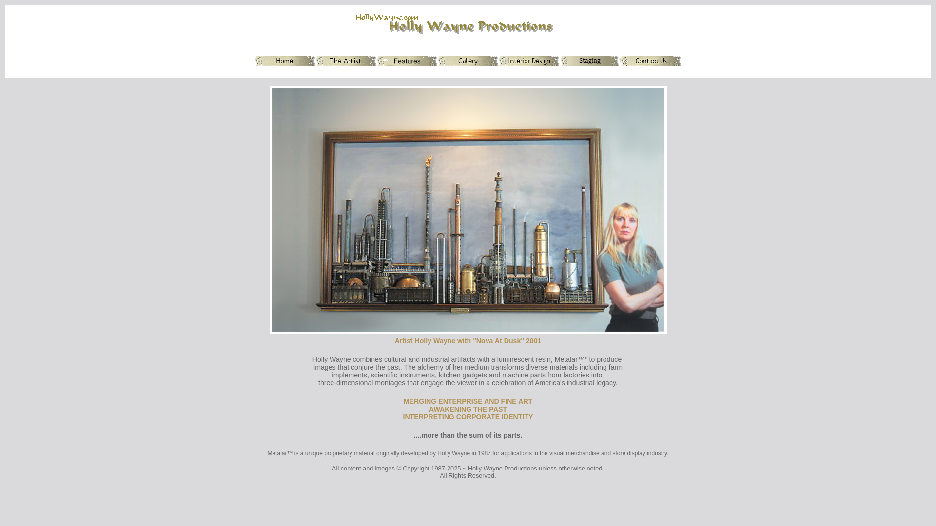 website screenshot of https://hollywayne.com/