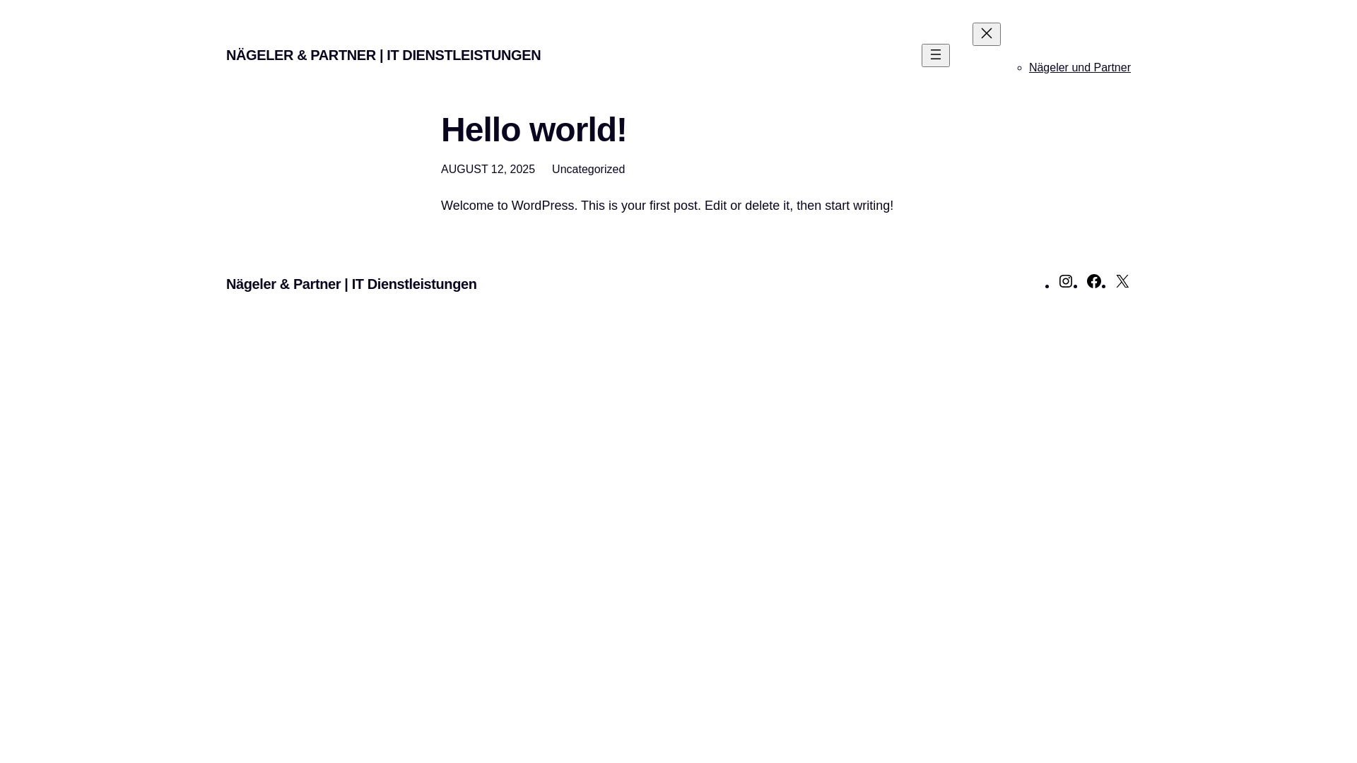 website screenshot of https://naegelerpartner.de/