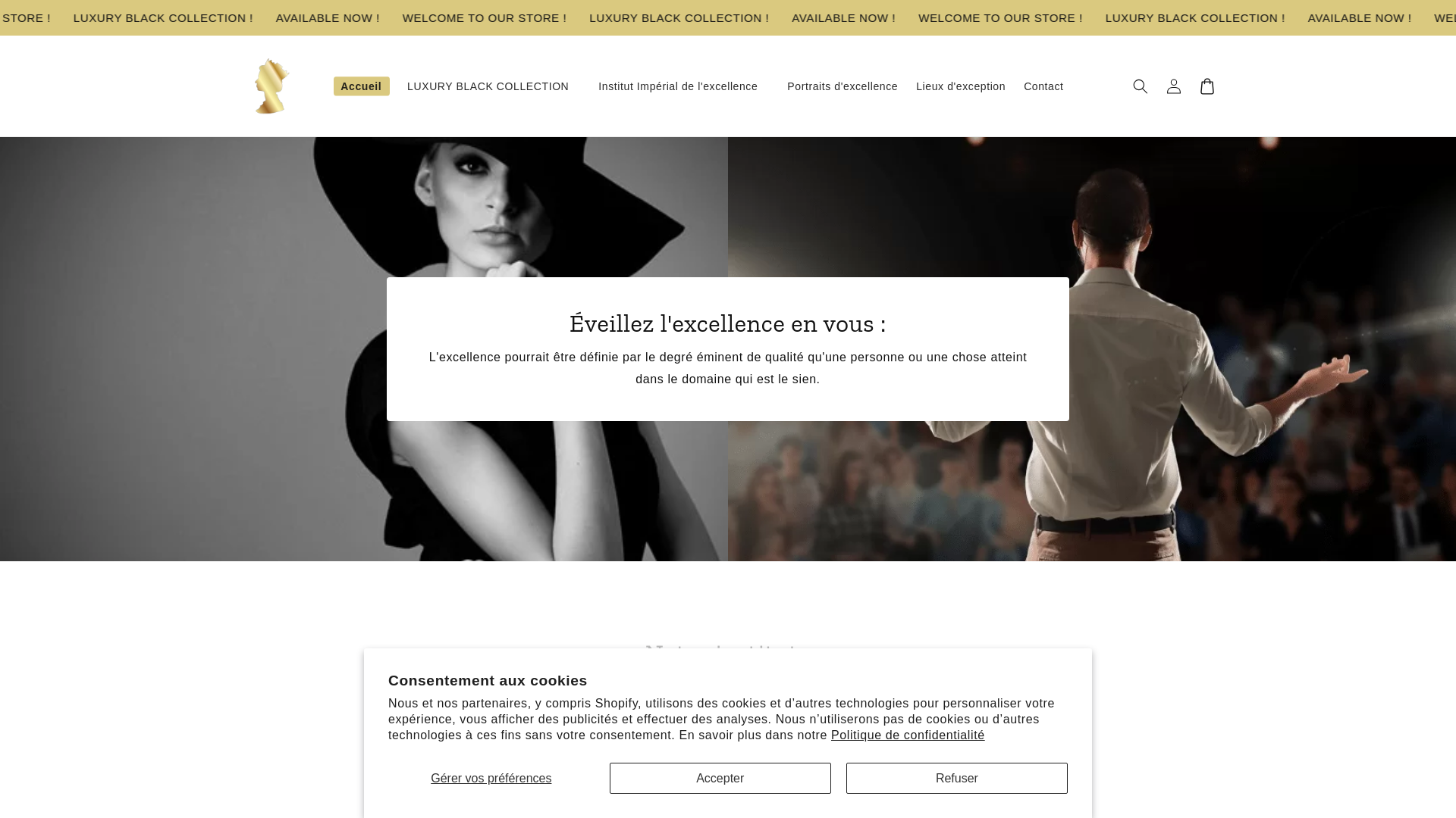 website screenshot of https://aluxurybrand.co/
