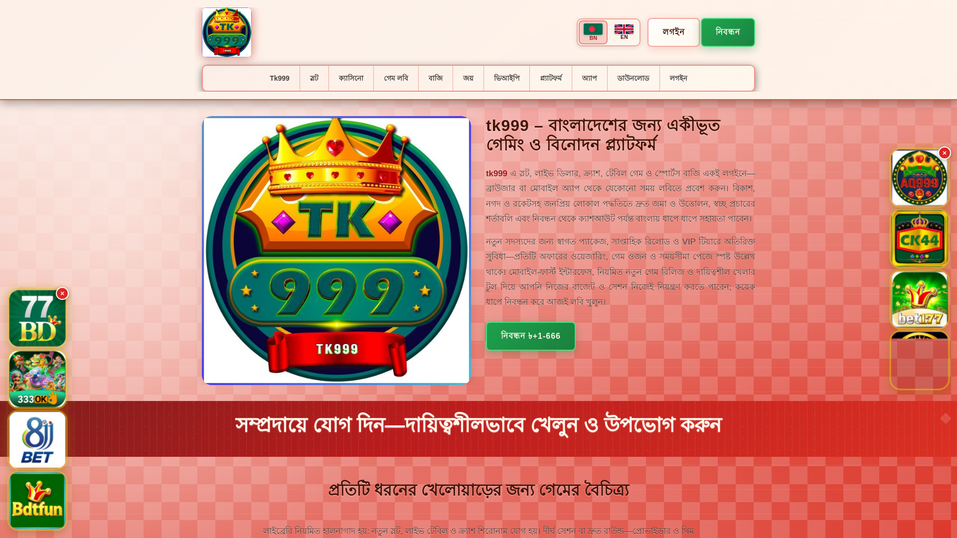 website screenshot of https://tk999tin.com/