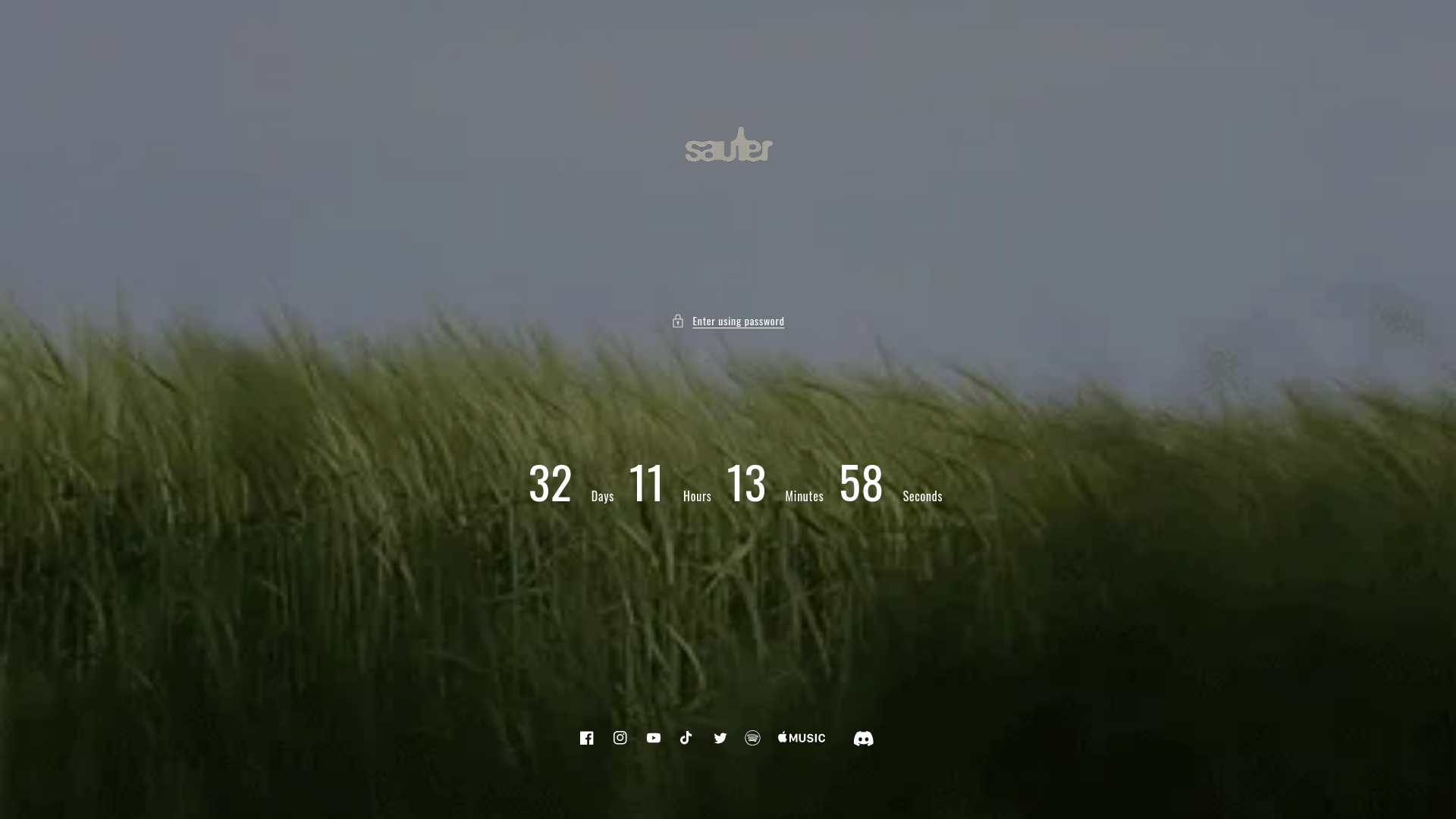 website screenshot of https://ssauter.com/