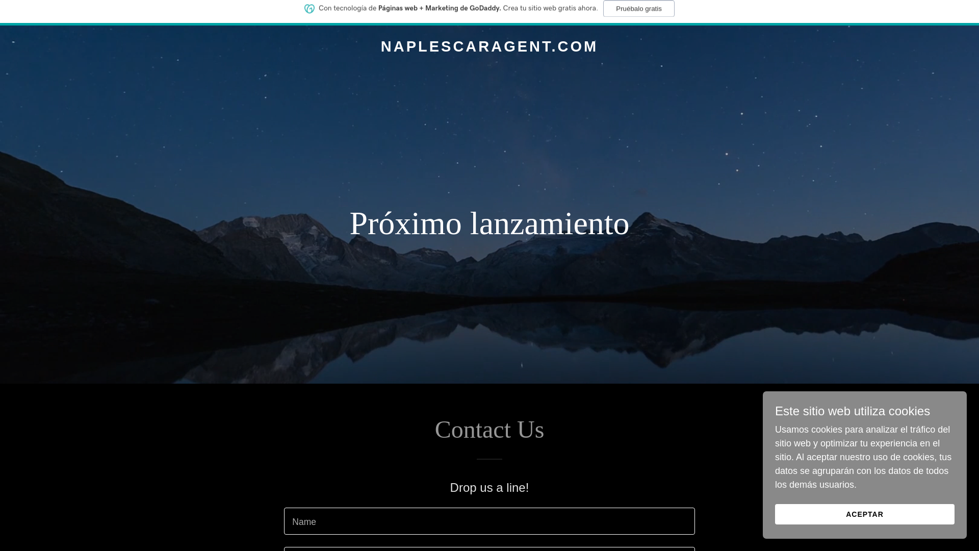 website screenshot of https://naplescaragent.com/