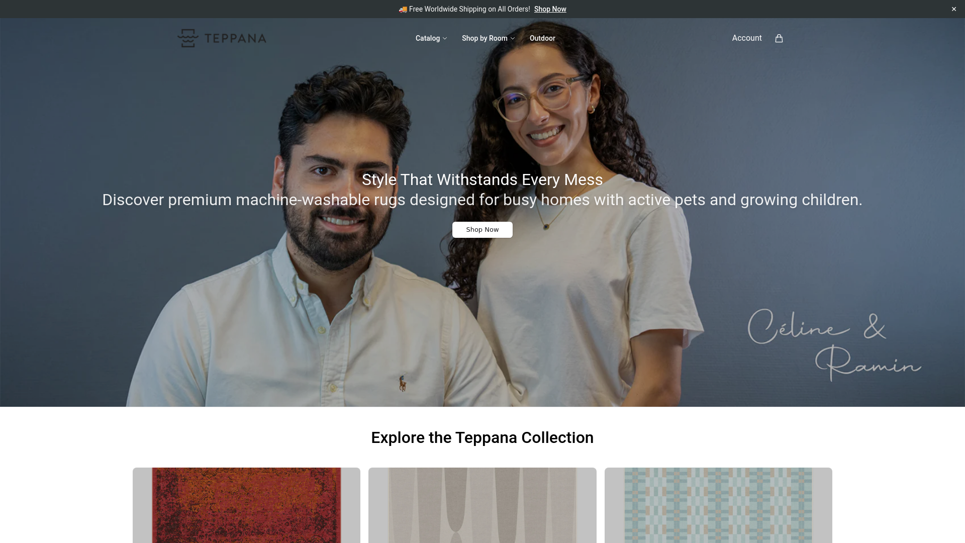 website screenshot of https://officialteppana.shop