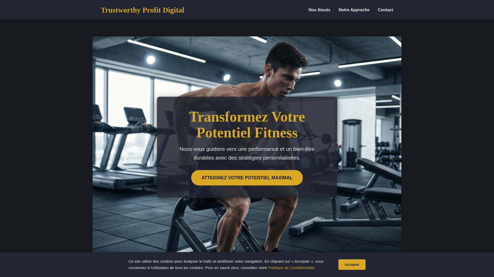 website screenshot of https://trustworthyprofit.digital/