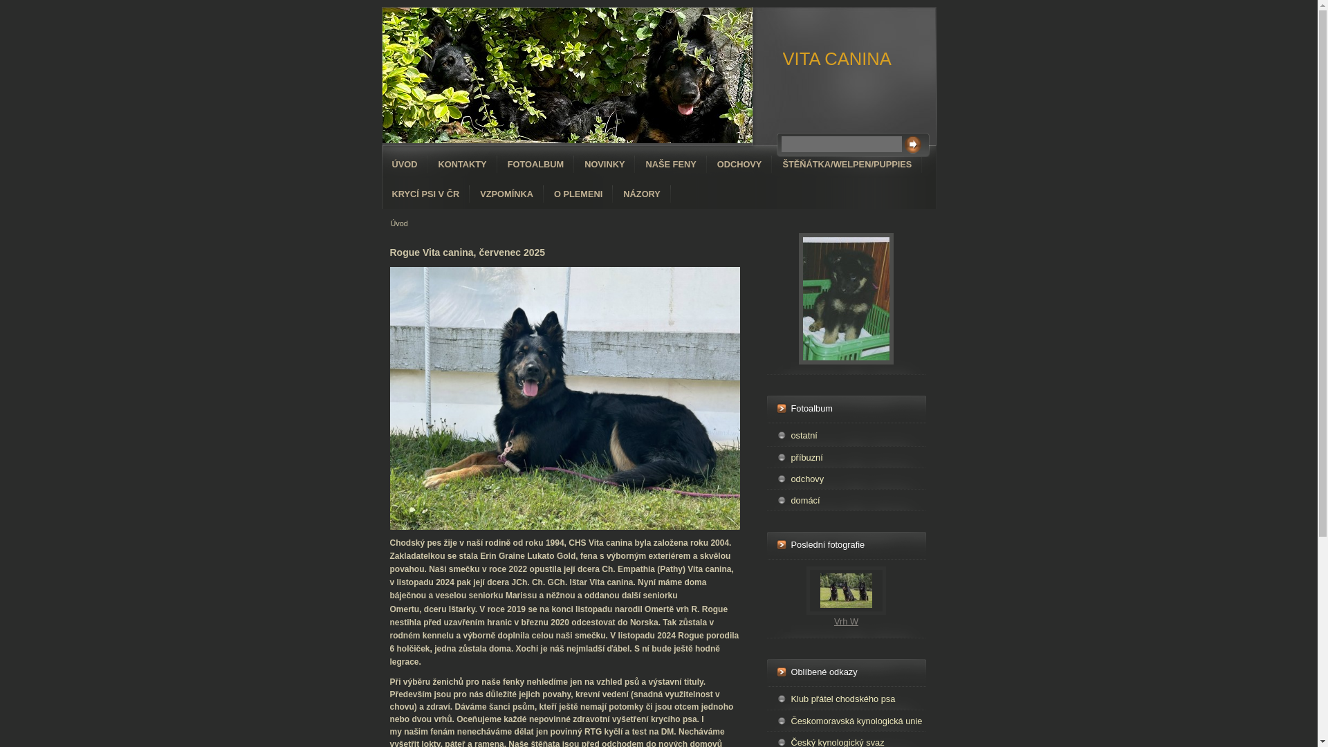 website screenshot of https://vitacanina.cz/