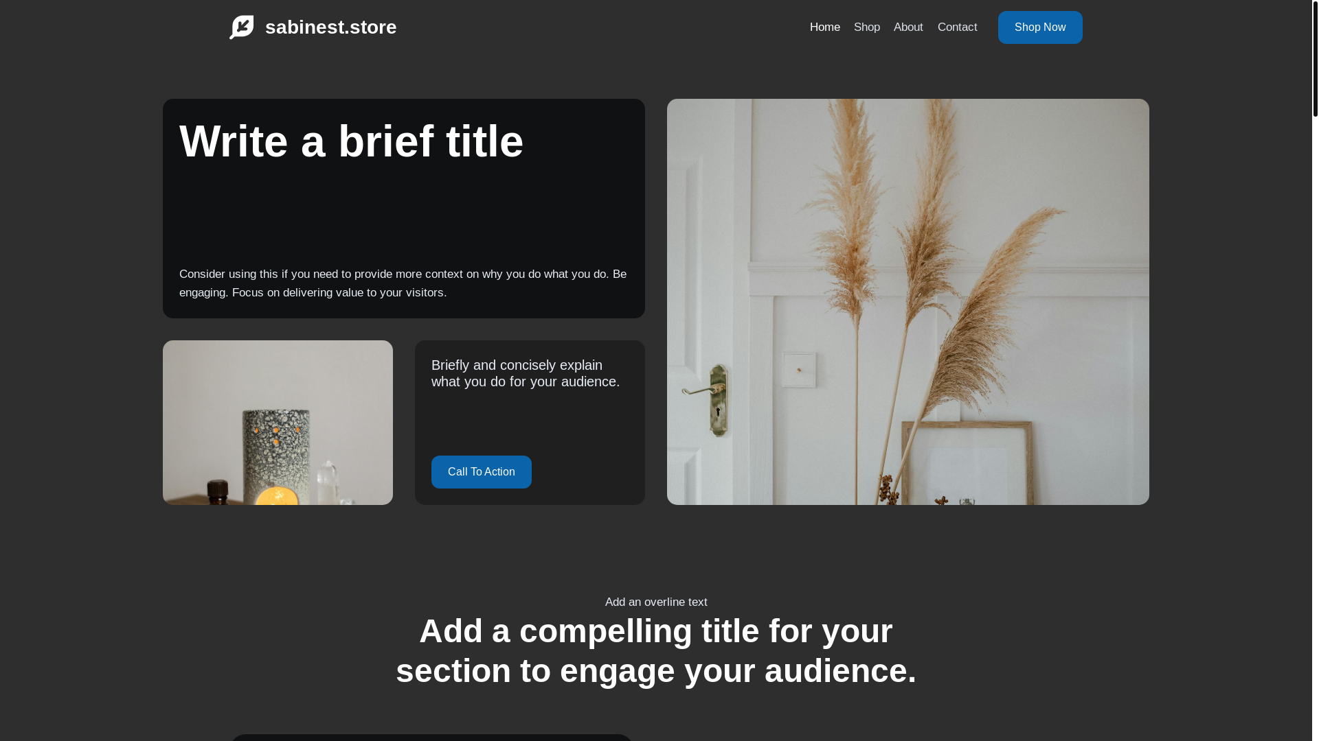 website screenshot of https://sabinest.store/