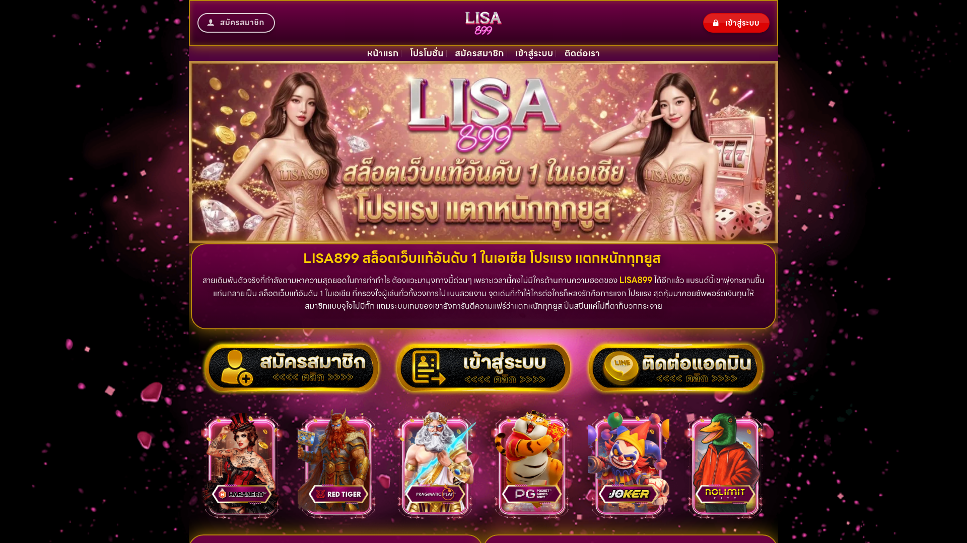 website screenshot of https://lisa899e.com/
