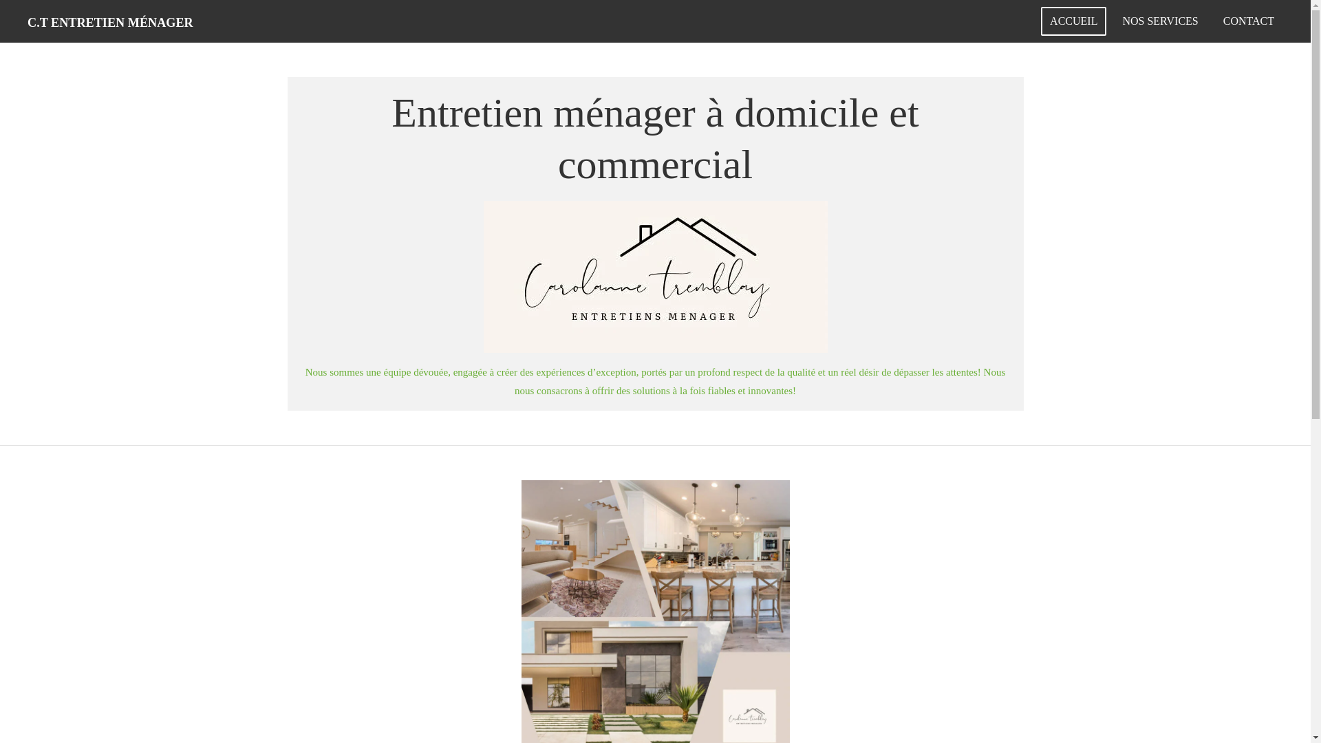 website screenshot of https://c-t-entretiens-menagers.com/