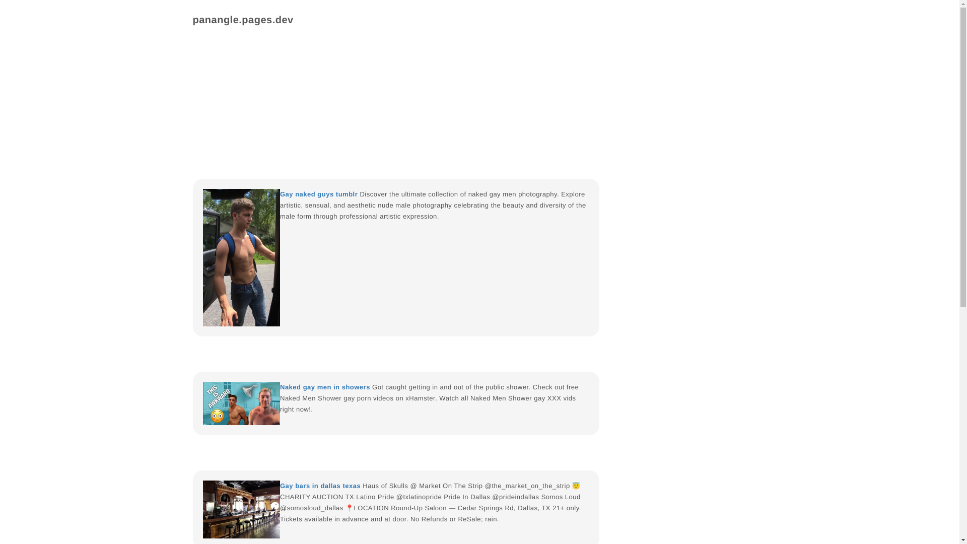 website screenshot of https://panangle.pages.dev/