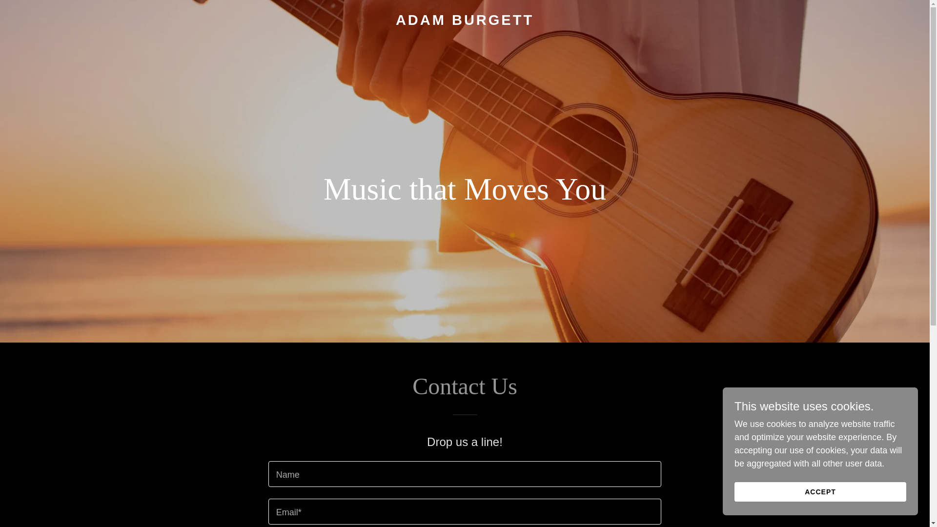website screenshot of https://adam-burgett.com/