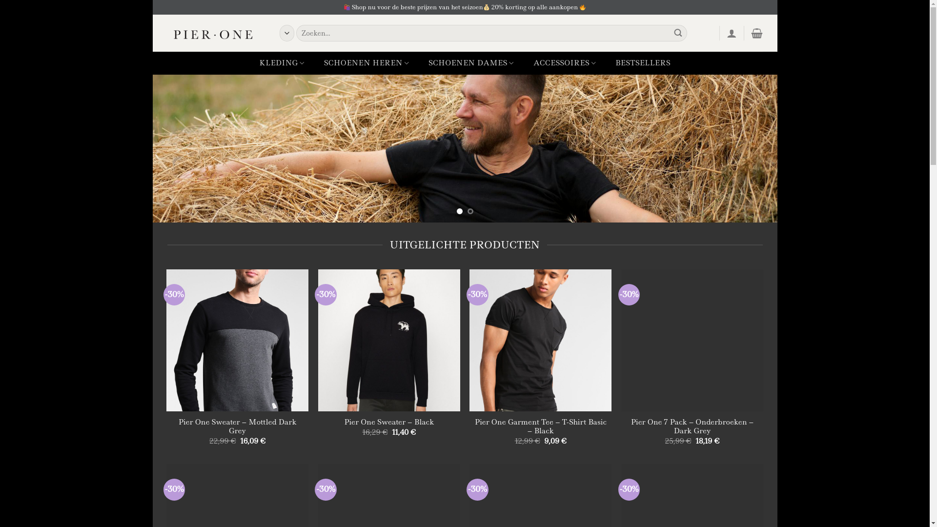 website screenshot of https://modevanpierone.com/