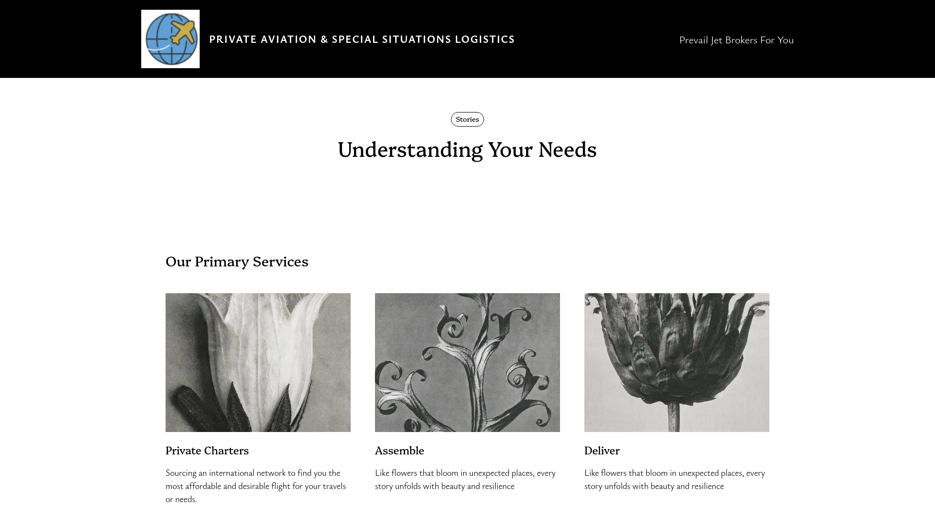 website screenshot of https://prevailjet.com