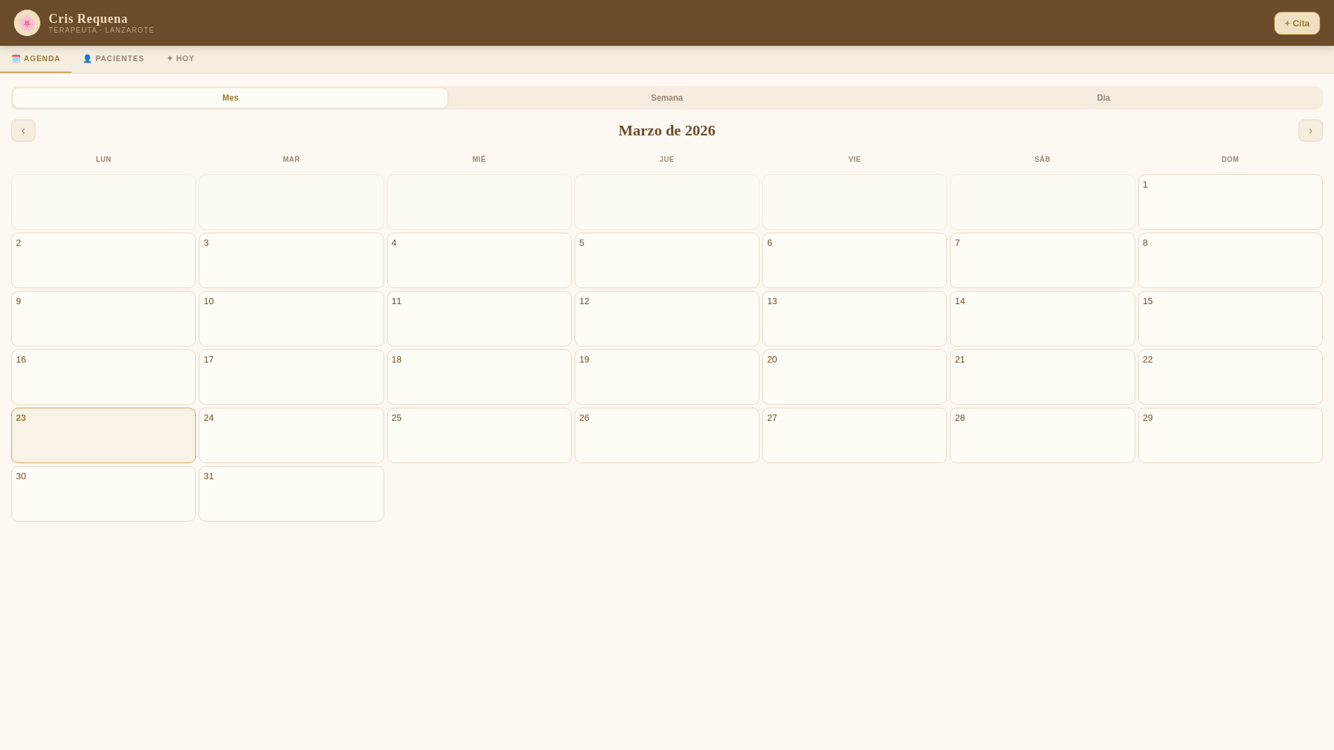 website screenshot of https://crisrequenaagenda.pages.dev/