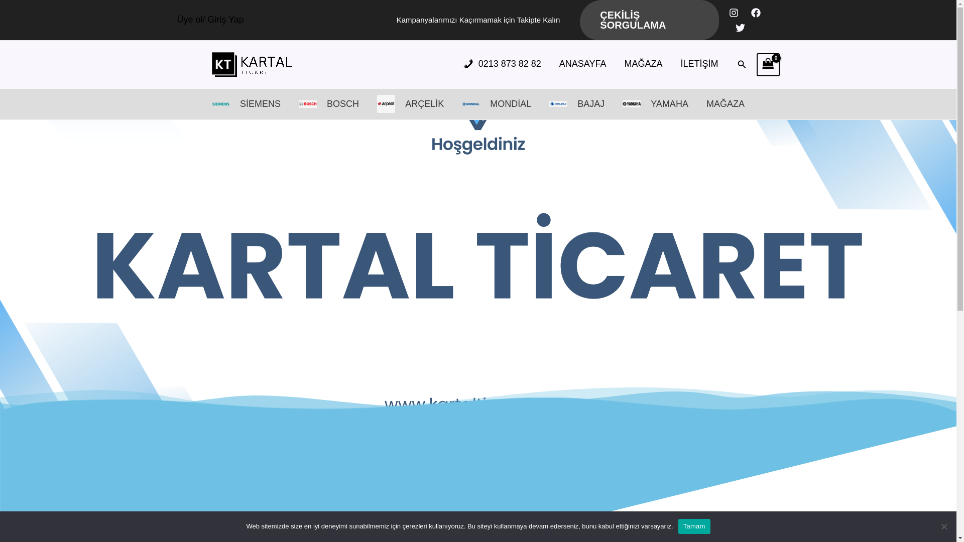 website screenshot of https://kartalticaretonline.com/