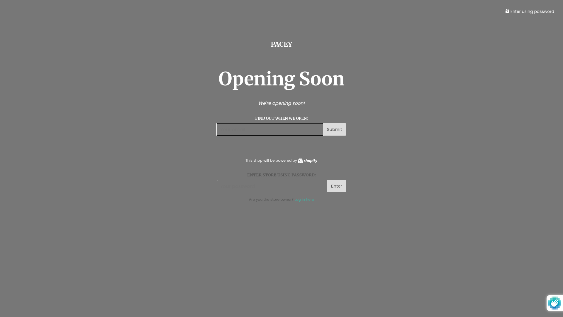 website screenshot of https://pacey-activewear.com/