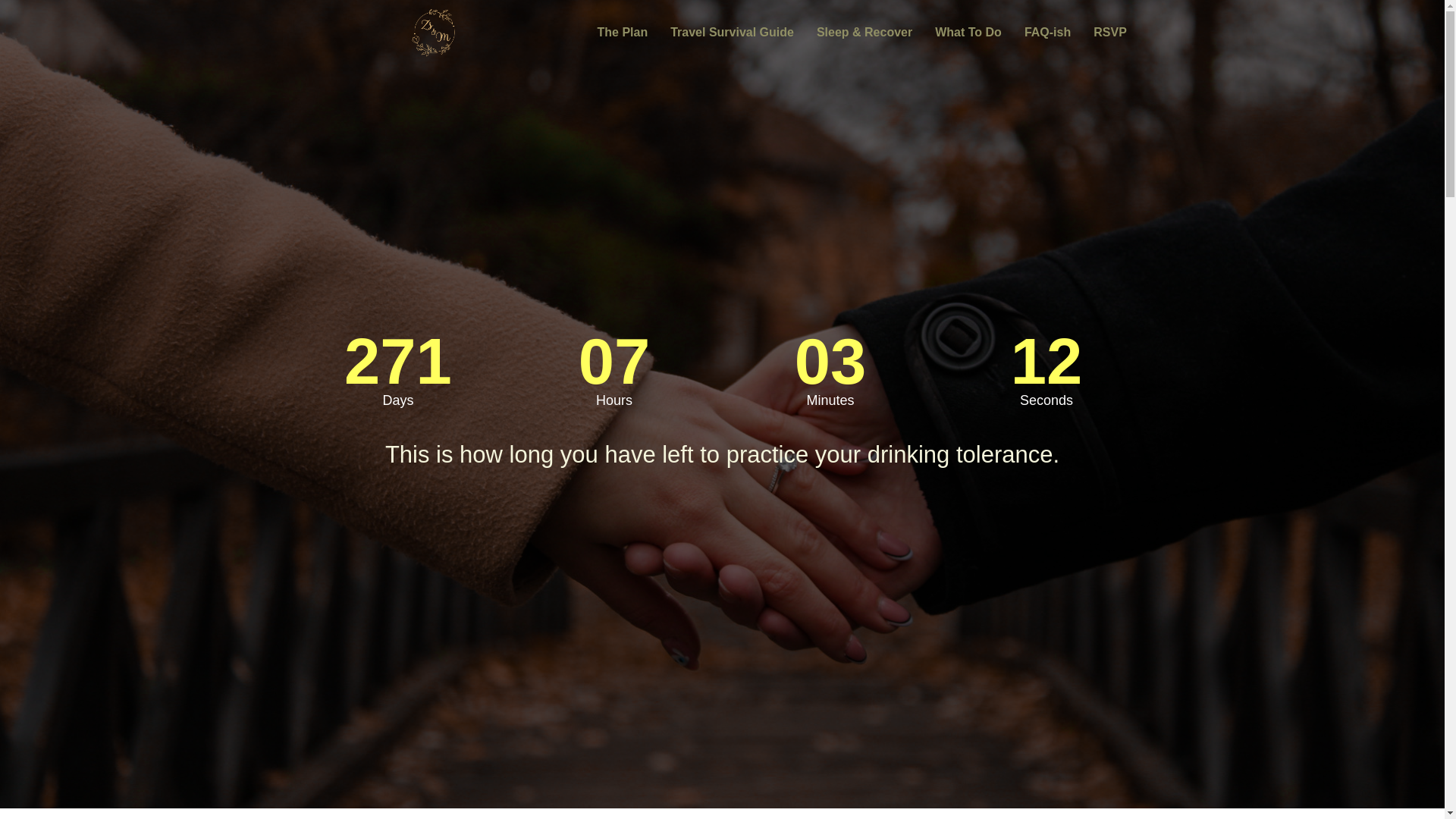 website screenshot of https://zsokaandmatewedding.site/