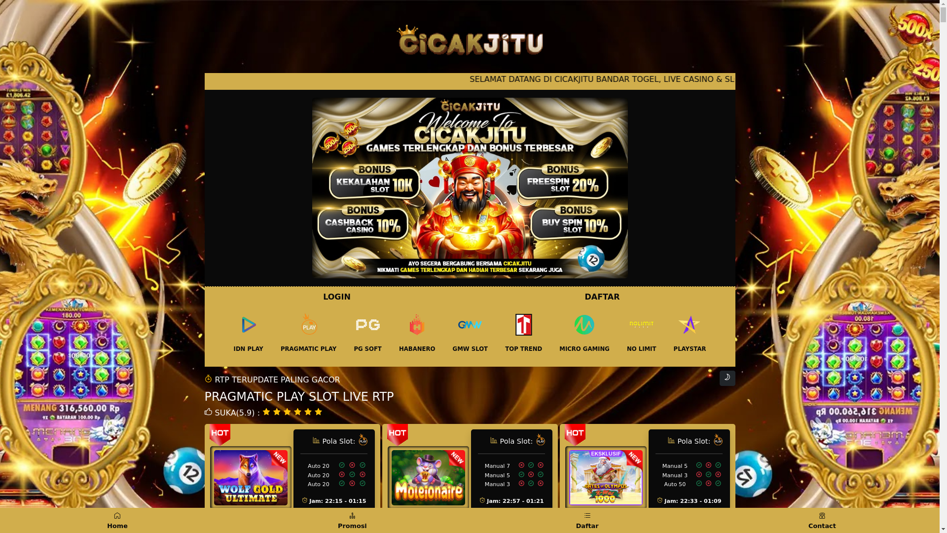 website screenshot of https://cicakrtp24.pages.dev/