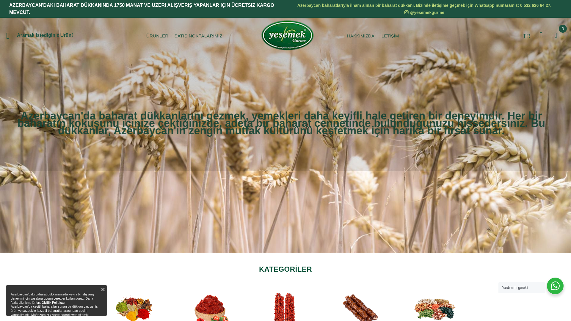 website screenshot of https://aroionpin.online/