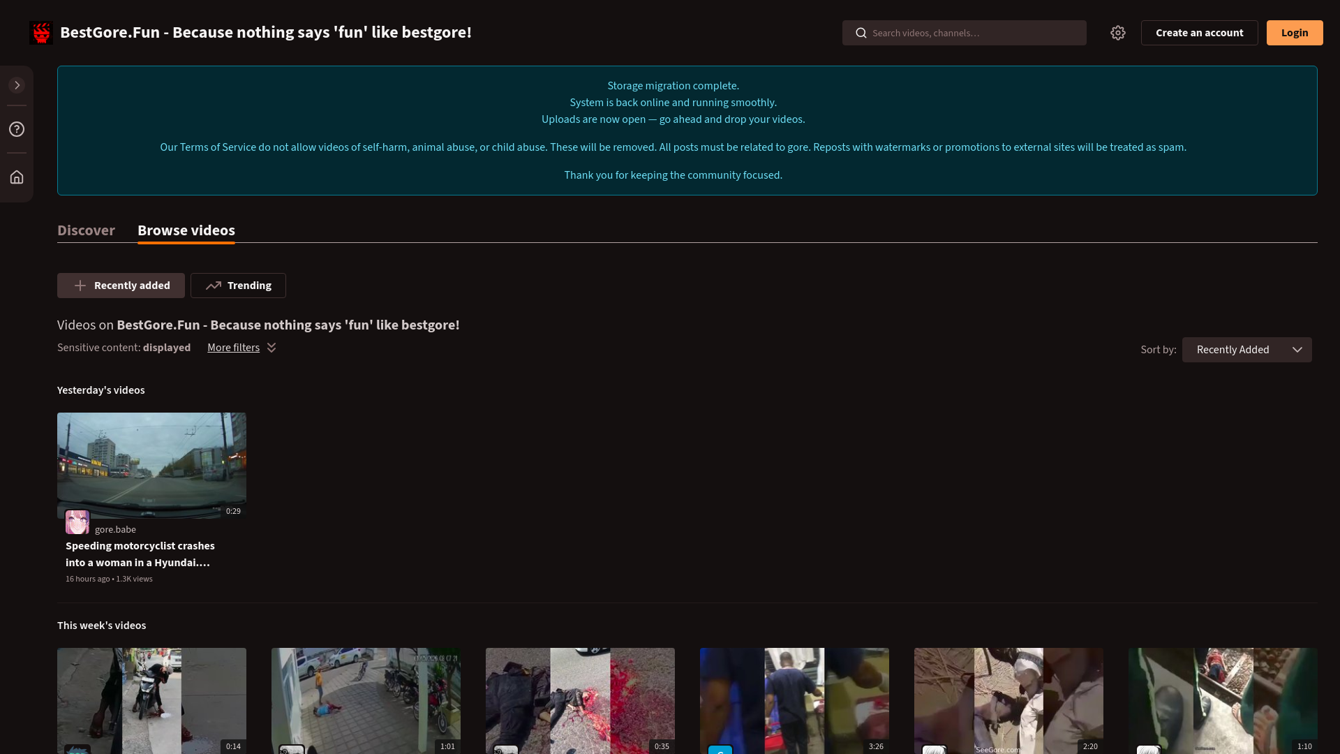 website screenshot of https://bestgore.fun/