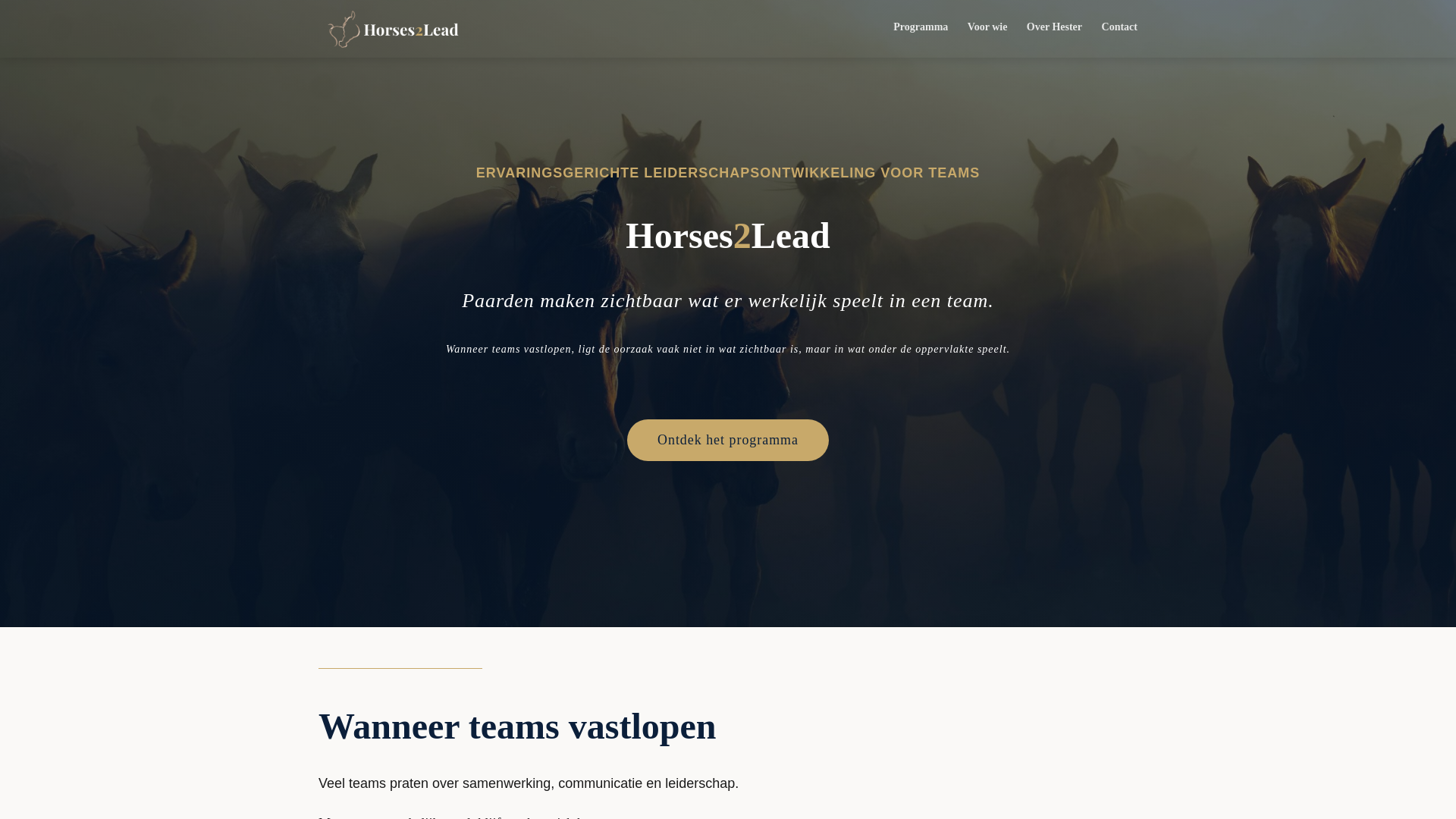 website screenshot of https://horses2lead.nl