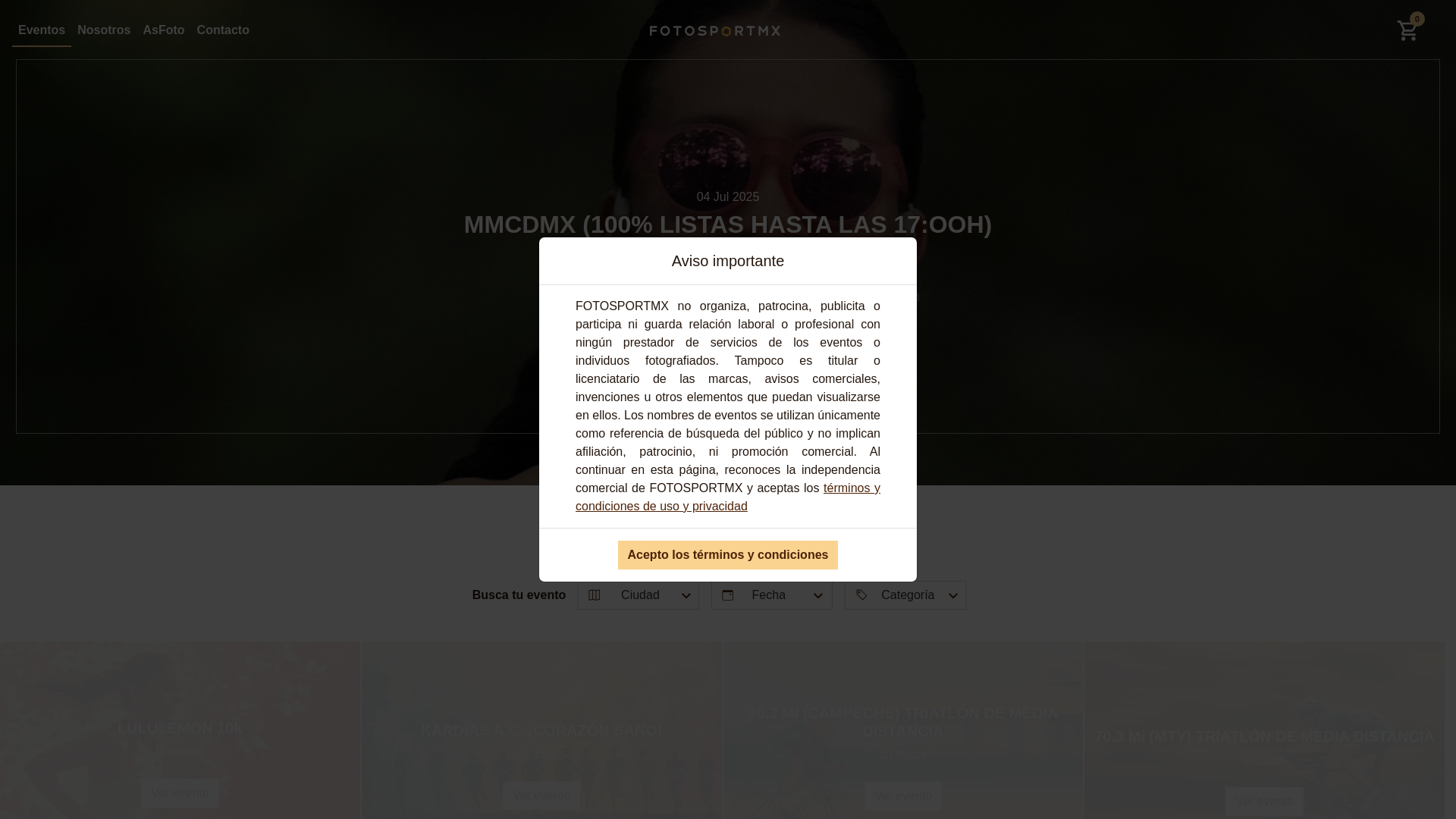 website screenshot of https://jlagunas.org/