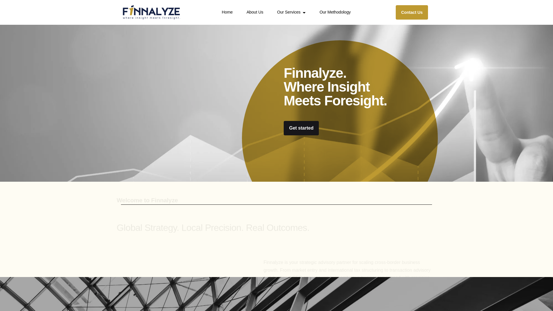 website screenshot of https://finnalyze.info/
