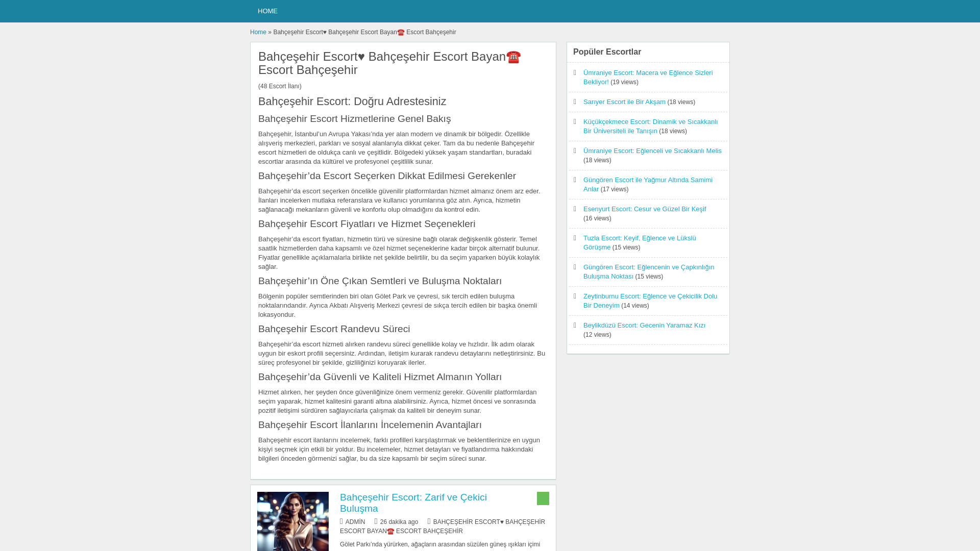 website screenshot of https://bahcesehirescort1.website