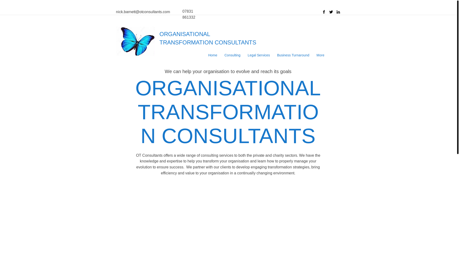 website screenshot of https://otconsultants.biz/