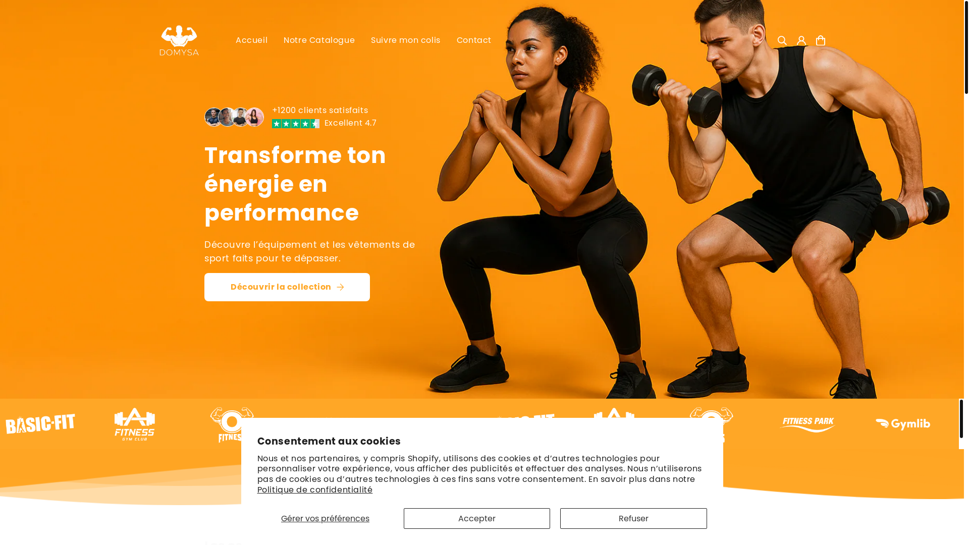 website screenshot of https://domysa.net/