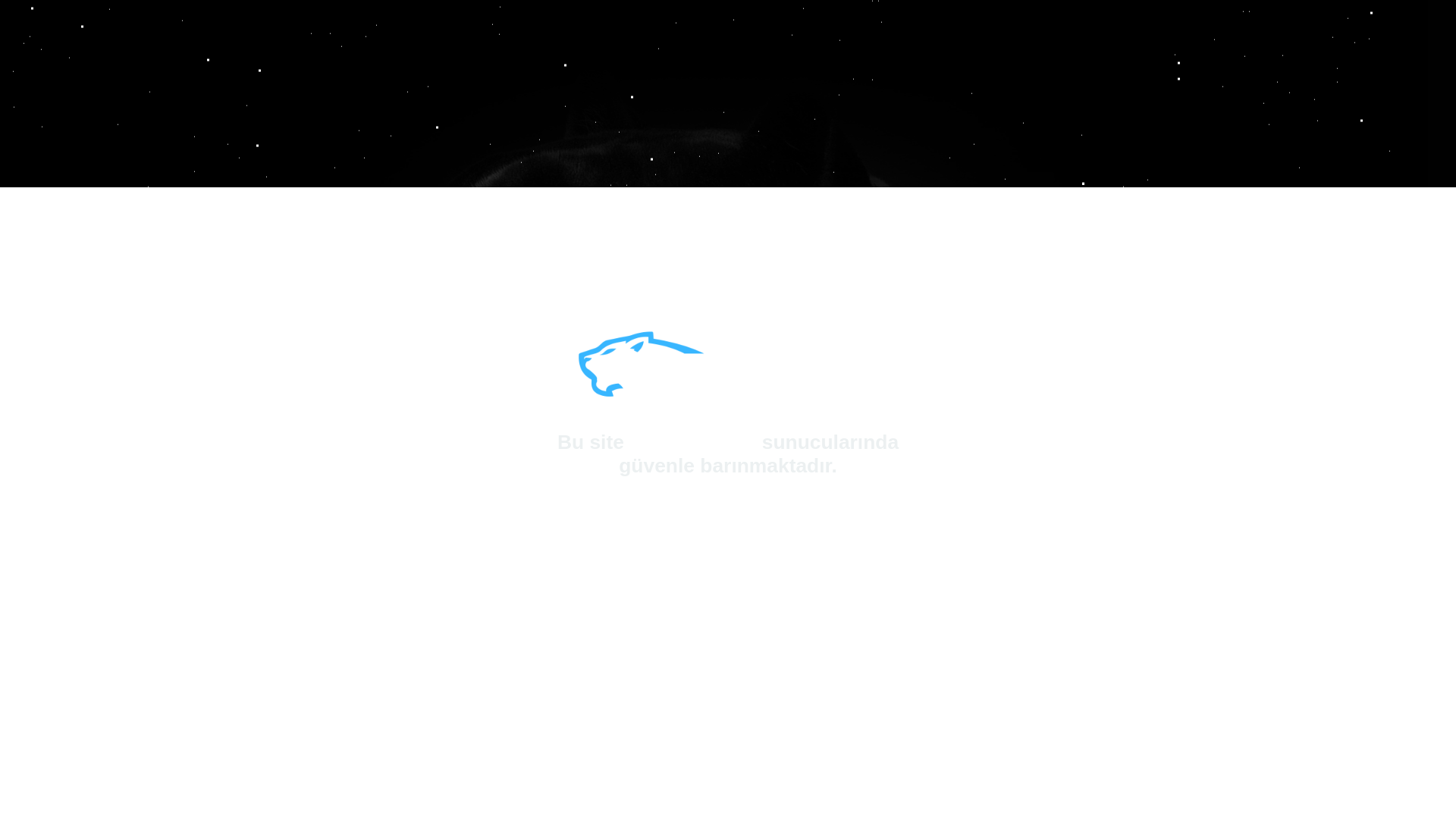website screenshot of https://ultrasunucu.com.tr/