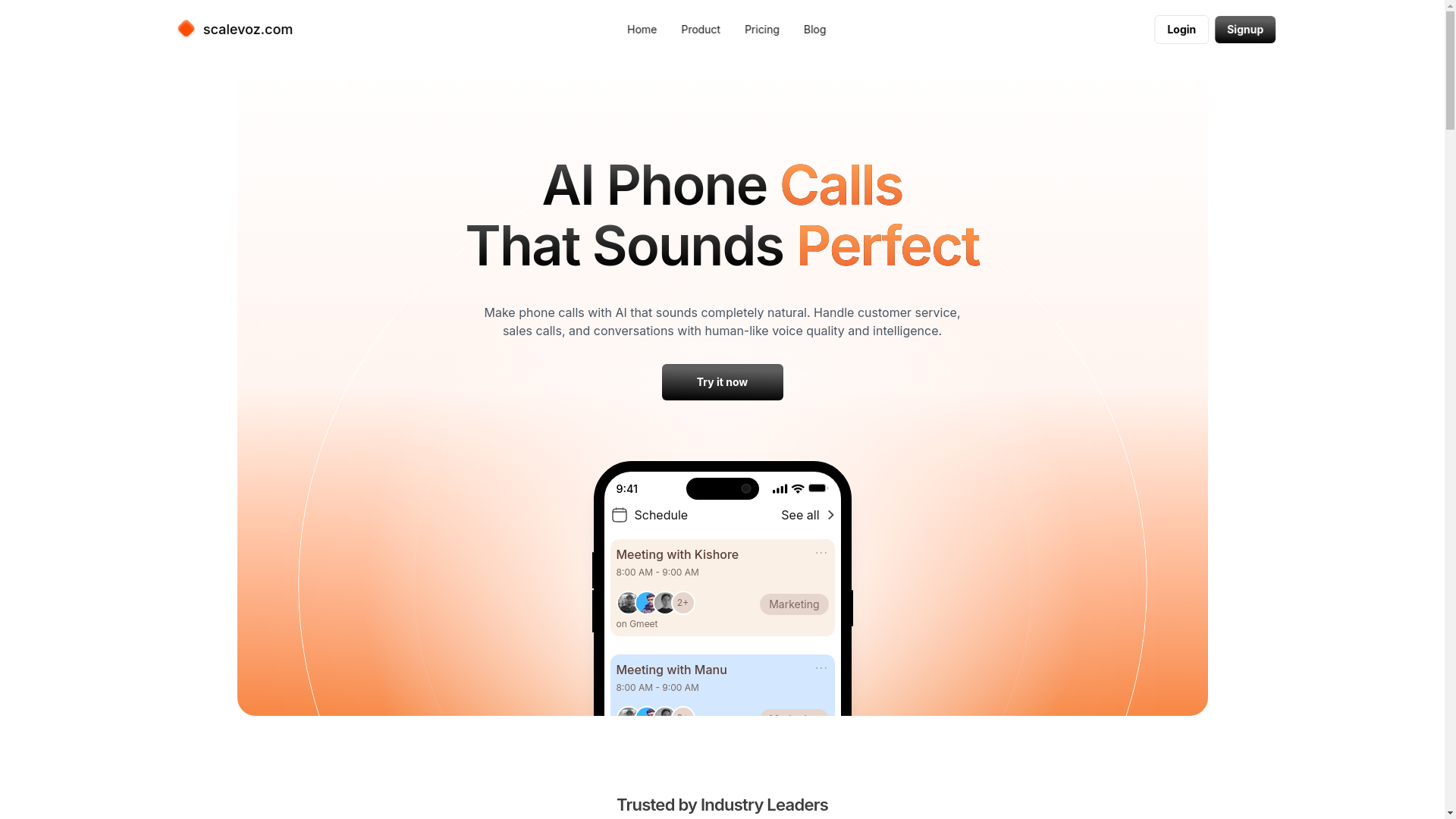website screenshot of https://scalevoz.com/