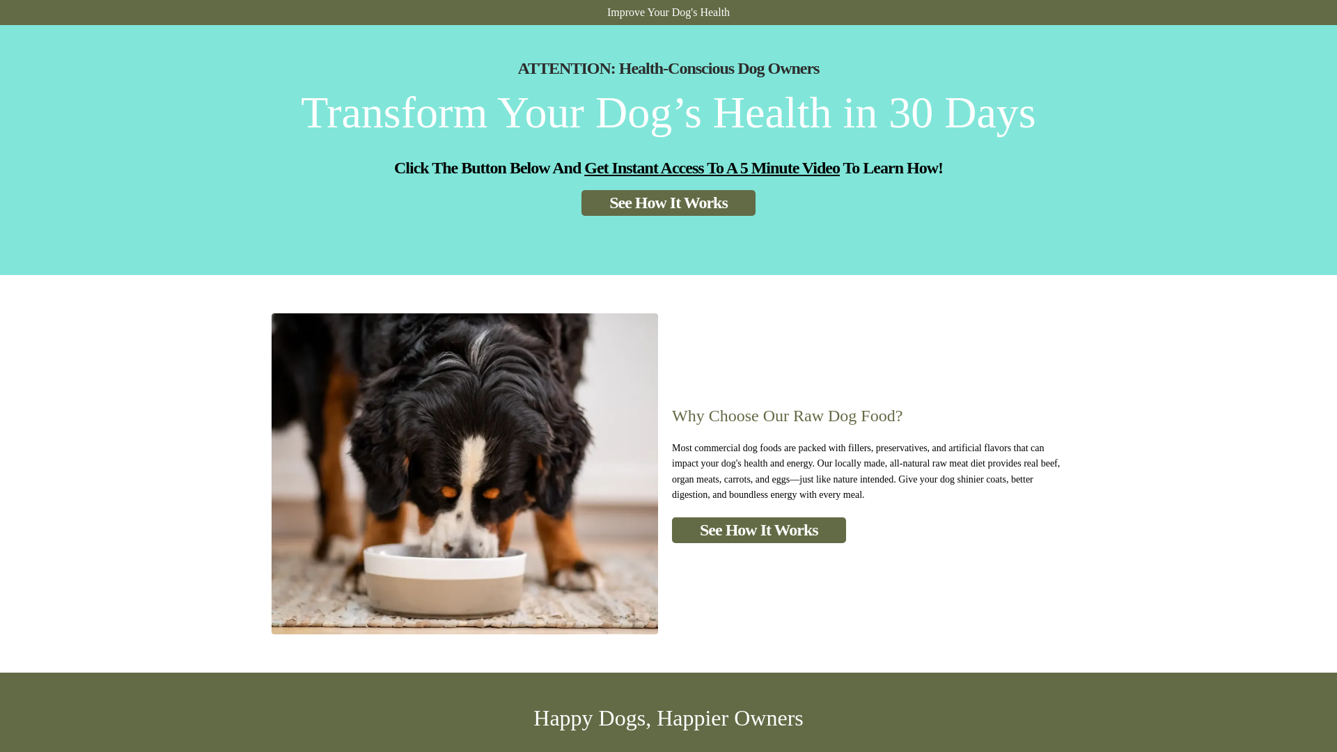 website screenshot of https://bestrawdogfoodnear.me