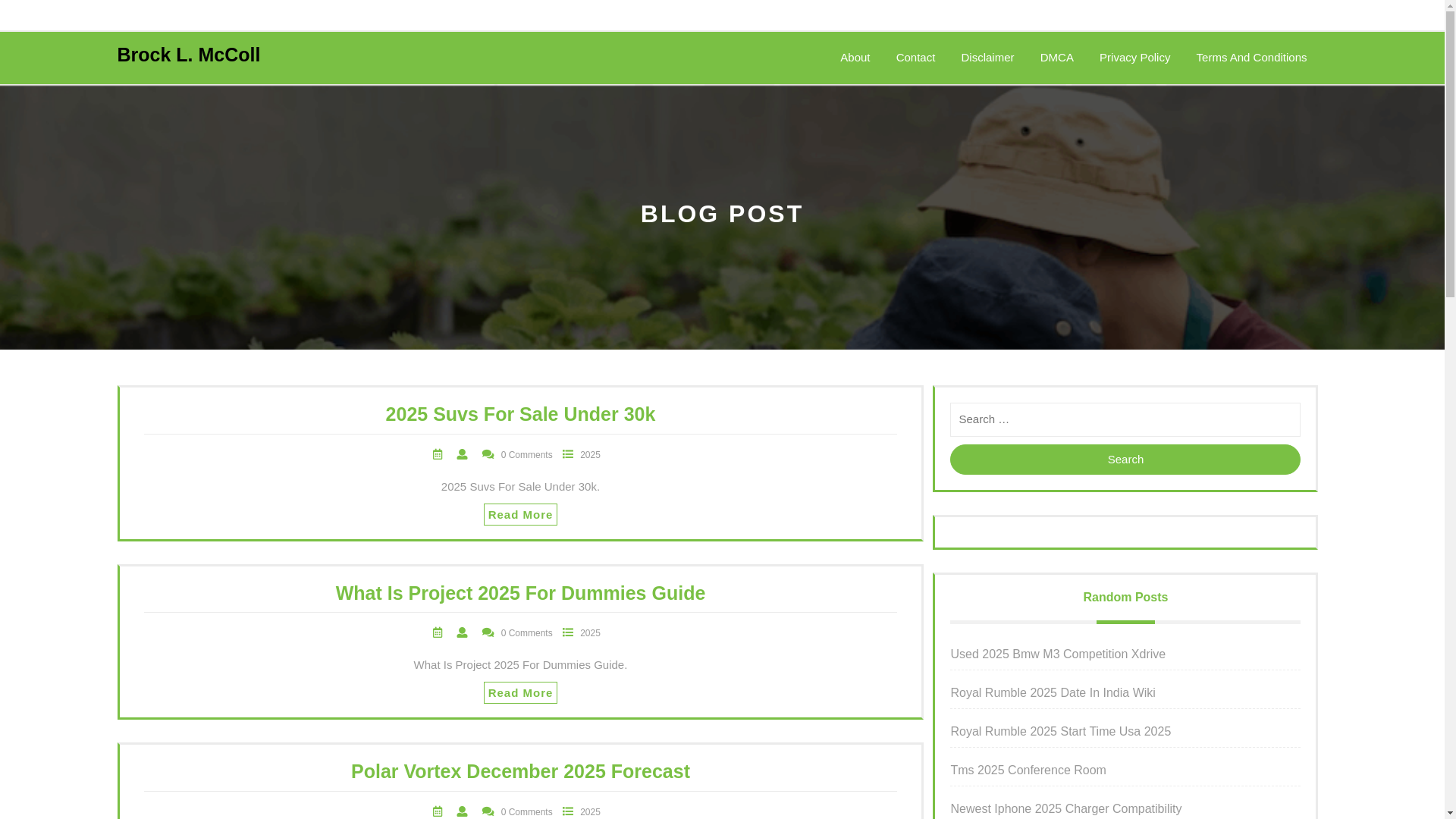 website screenshot of https://brocklmccoll.pages.dev/