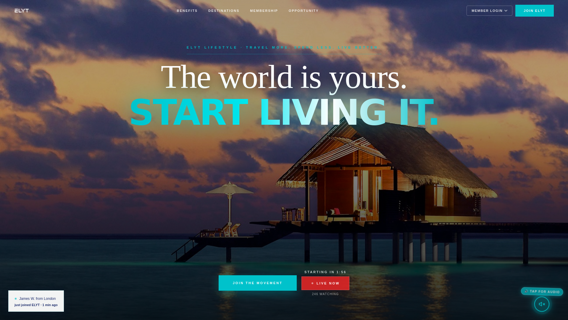 website screenshot of https://travelelyt.com/