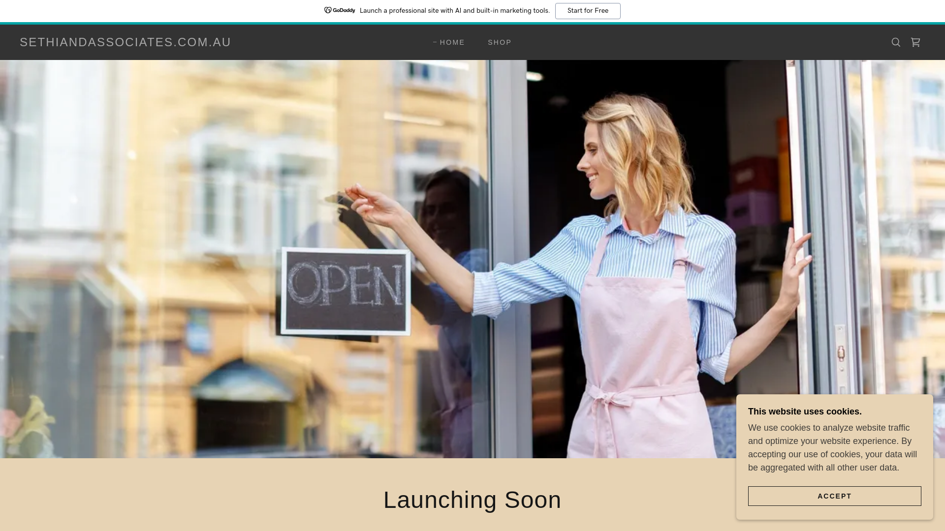 website screenshot of https://sethiandassociates.com.au/