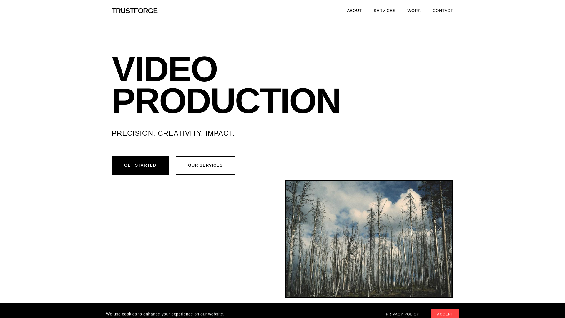 website screenshot of https://trustforgevideo.shop