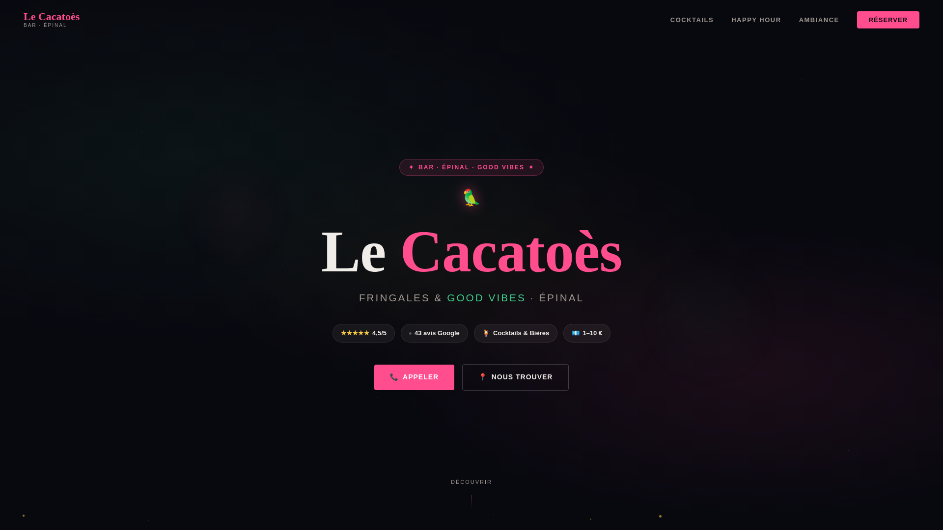 website screenshot of https://le-cacatoes-epinal.pages.dev/