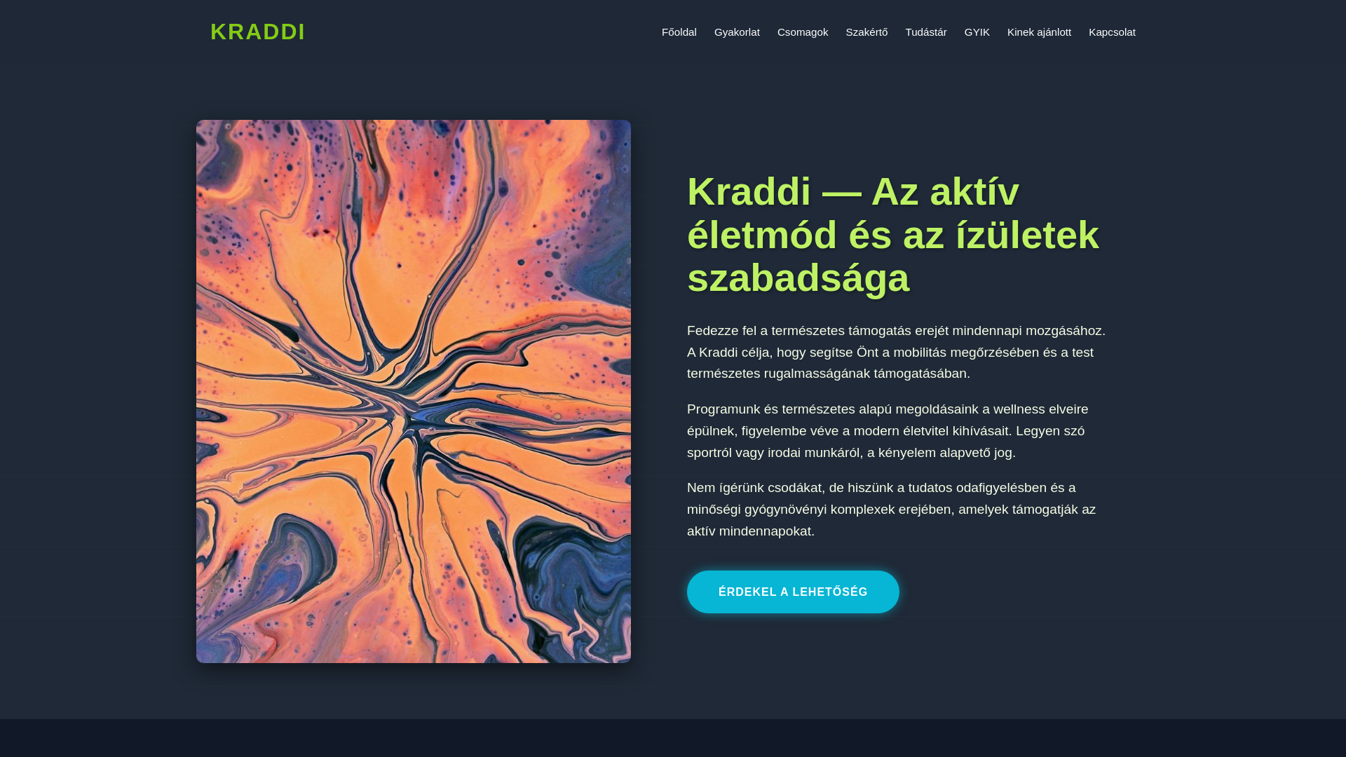 website screenshot of https://kraddi.world/