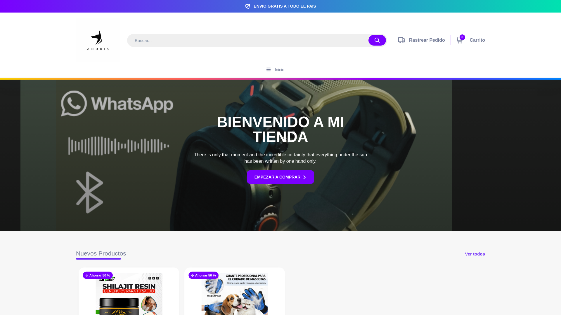 website screenshot of https://anubis24.online/