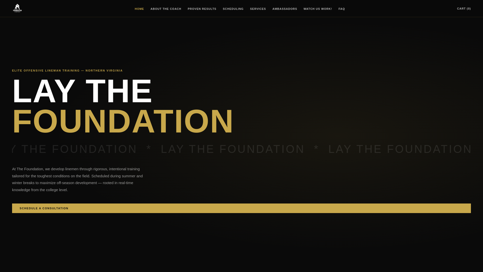website screenshot of https://foundationlineman.net/